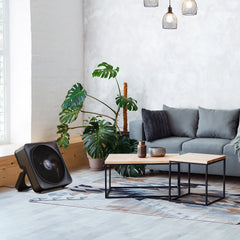 Model 810 Whole Room Box Fan