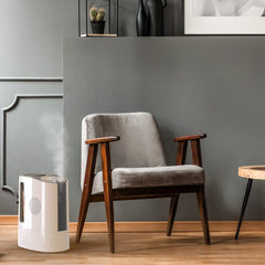UH100 Ultrasonic Humidifier
