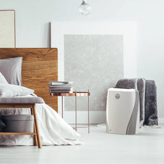 PCO375DC Energy Smart Air Purifier with Silverscreen® and HEPA Filtration