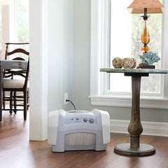 Evap40 Evaporative Humidifier